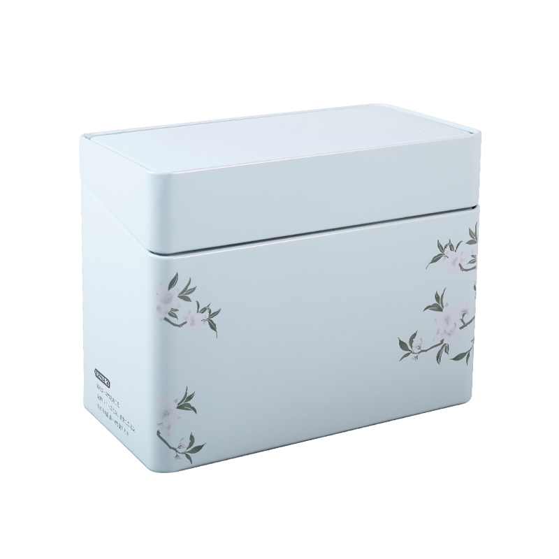 Rectangle Hinged Tin Packaging ER0950A-01 for Skin Care01 (3)